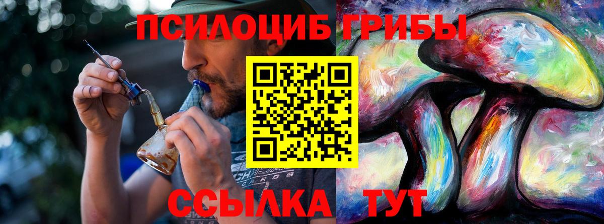 Можайск  Псилоцибиновые грибы прущие грибы  Вход с VPN 